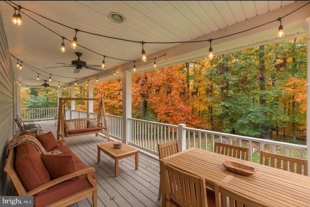 2516 DAISY ROAD