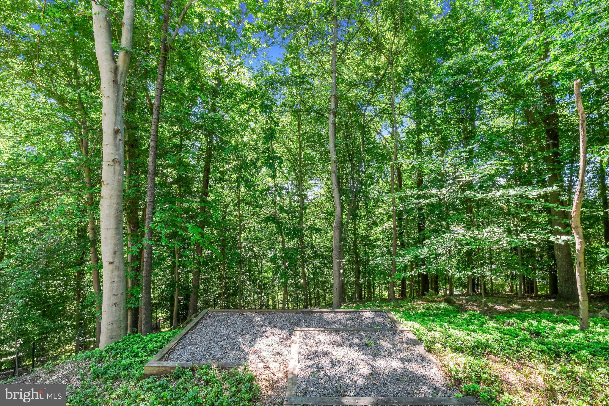 7005 Natelli Woods Ln