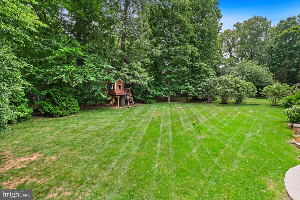 11413 CUSHMAN ROAD