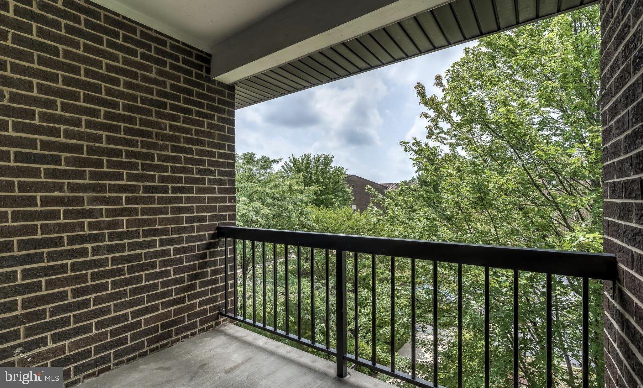 11238 Cherry Hill Rd #301