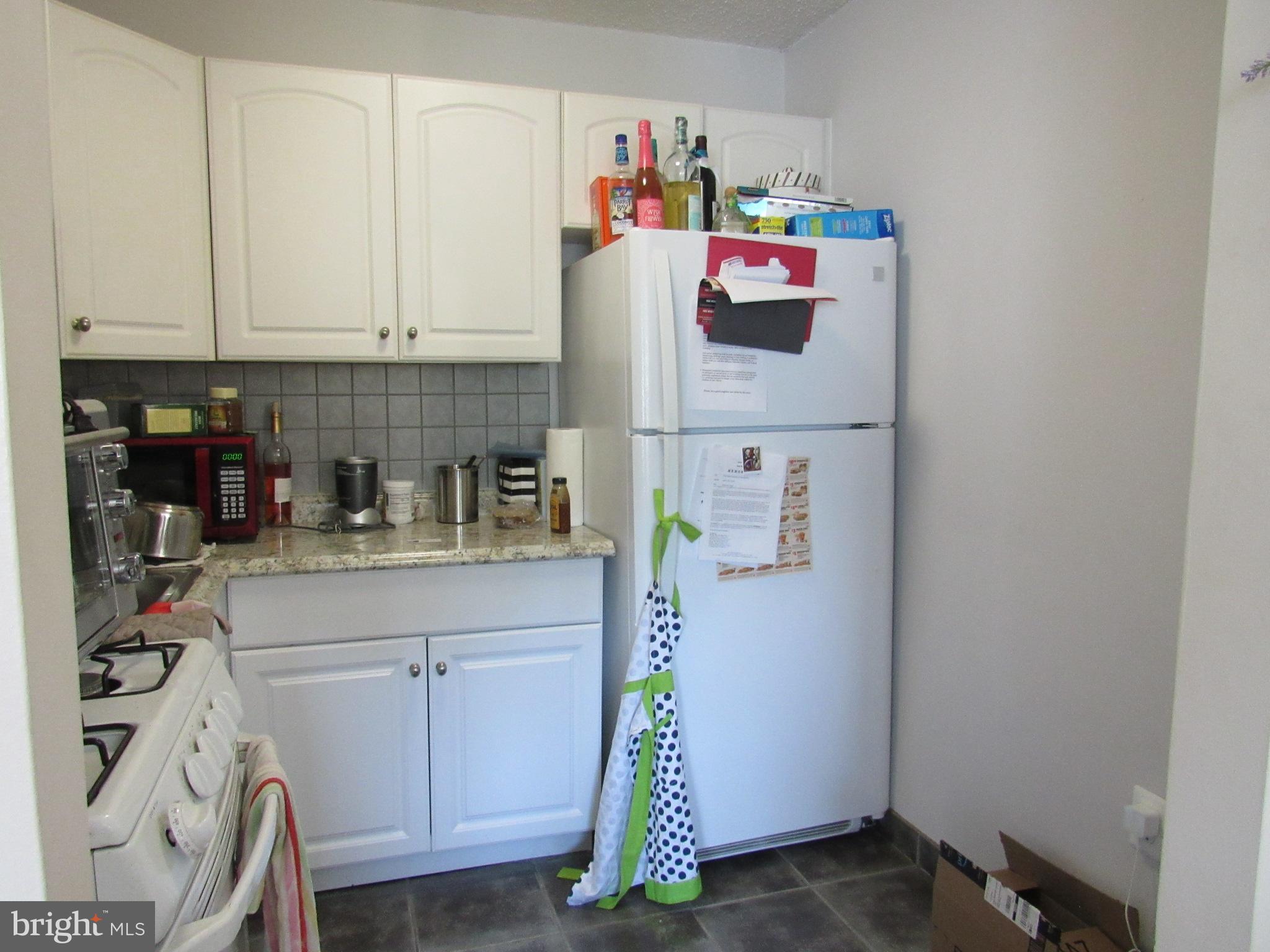 1225 MARTHA CUSTIS DR #513
