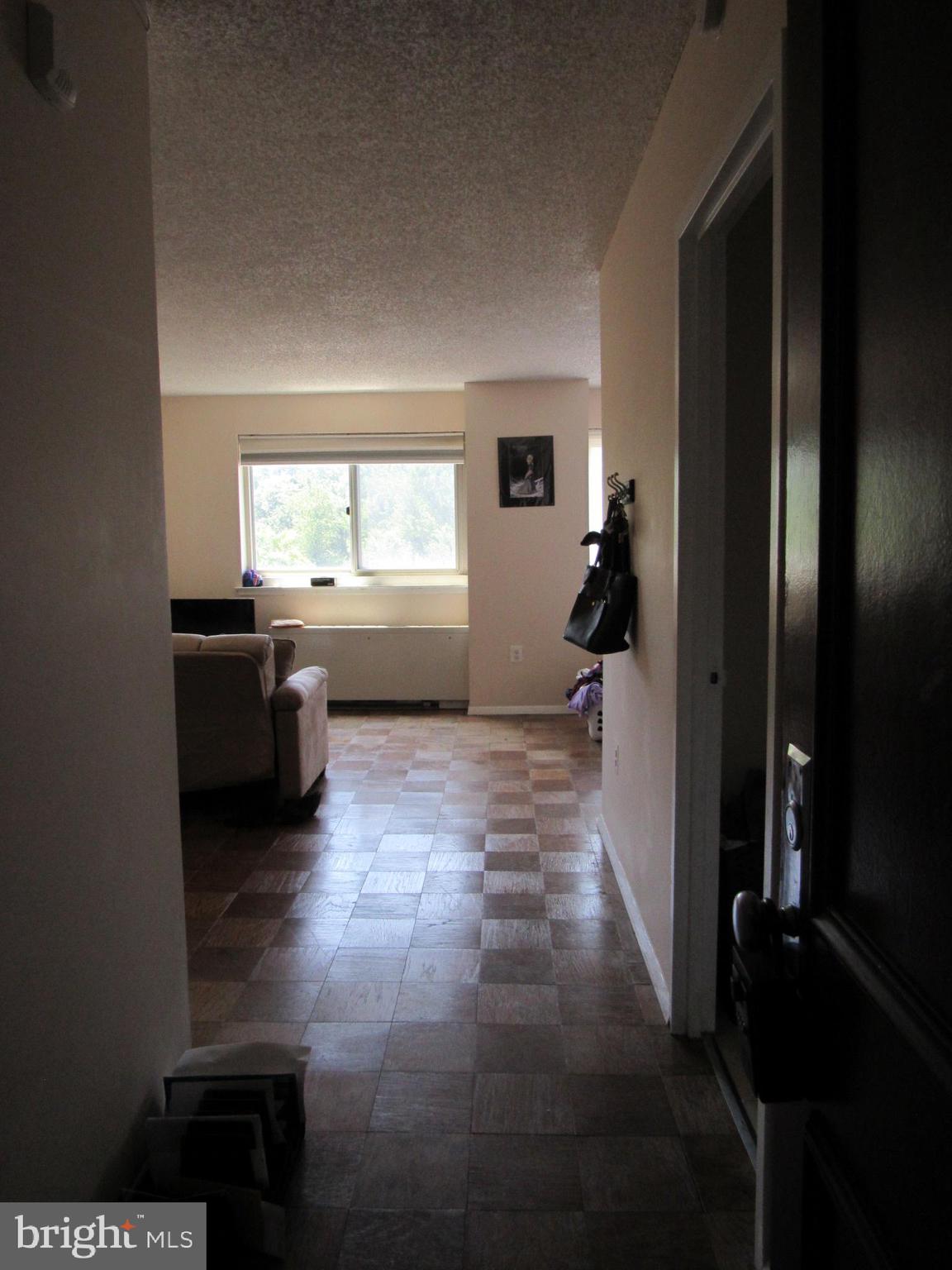 1225 MARTHA CUSTIS DR #513