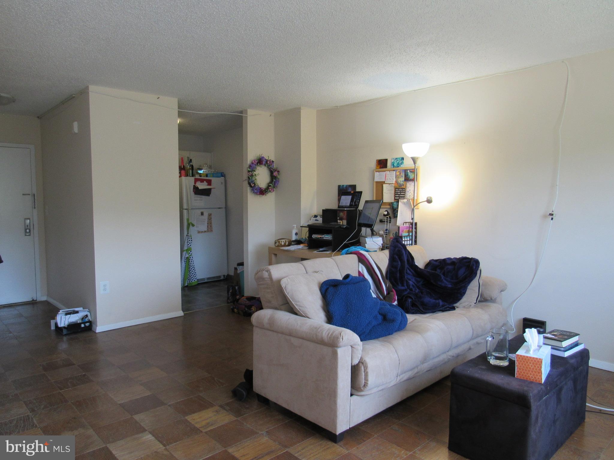 1225 MARTHA CUSTIS DR #513