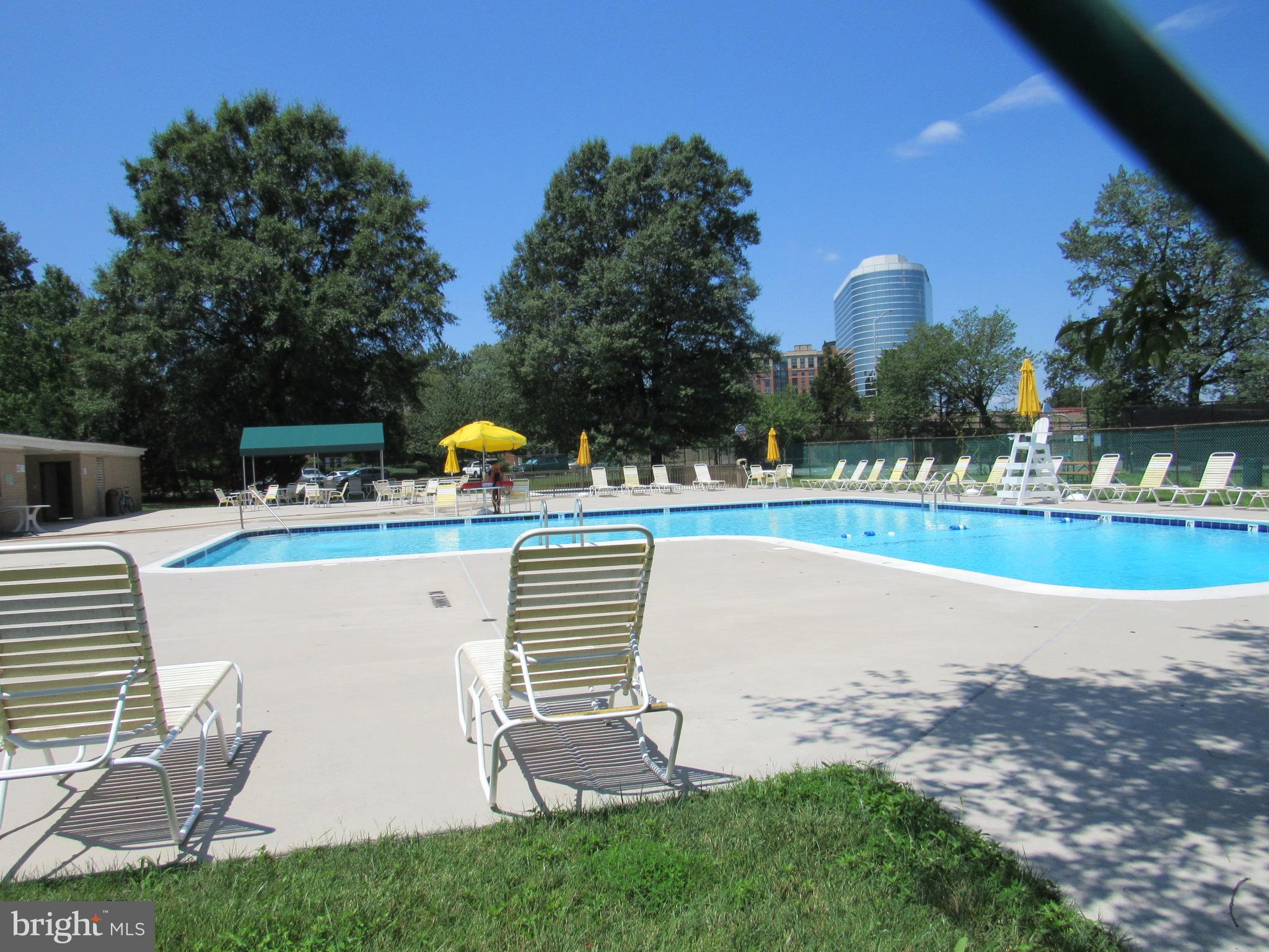 1225 MARTHA CUSTIS DR #513