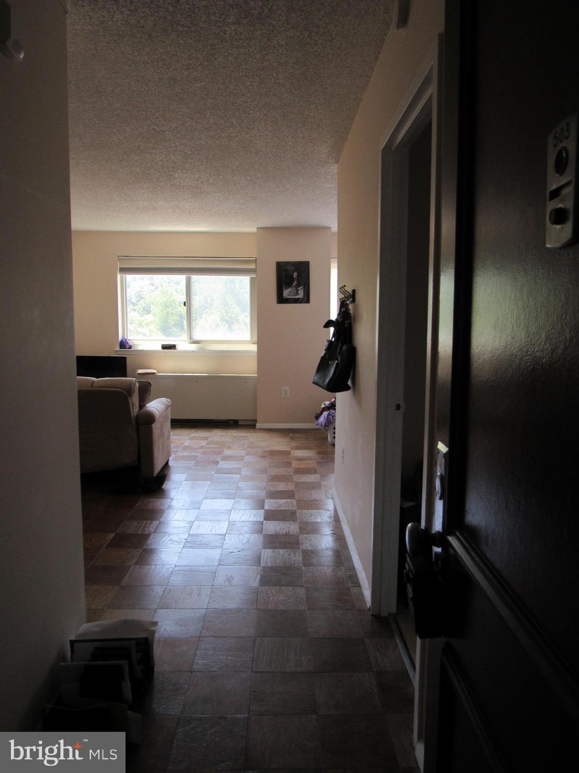 1225 MARTHA CUSTIS DR #513