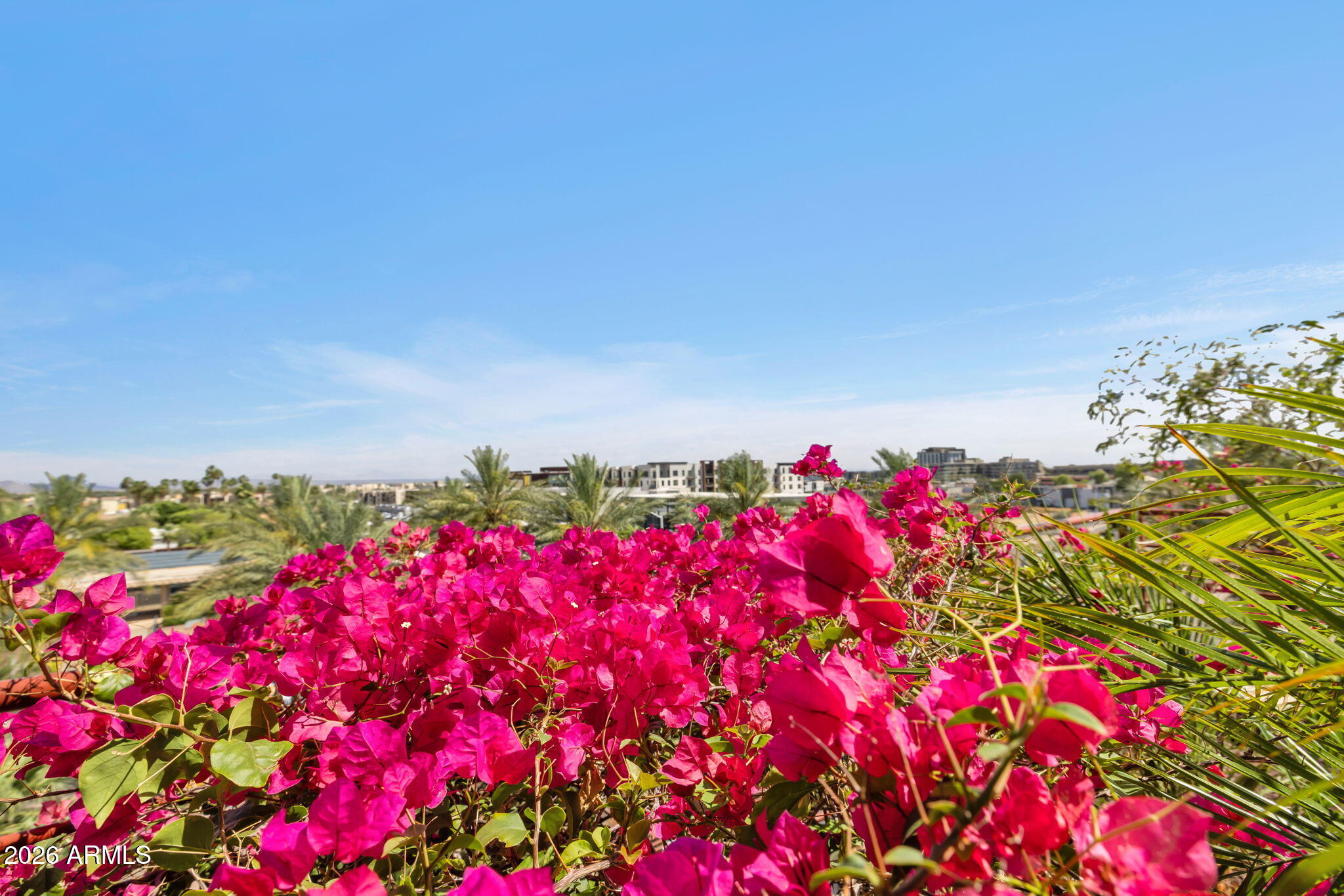 7157 E RANCHO VISTA Drive 5006