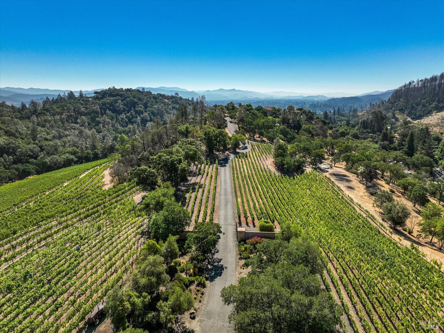 2900 Spring Mountain Rd