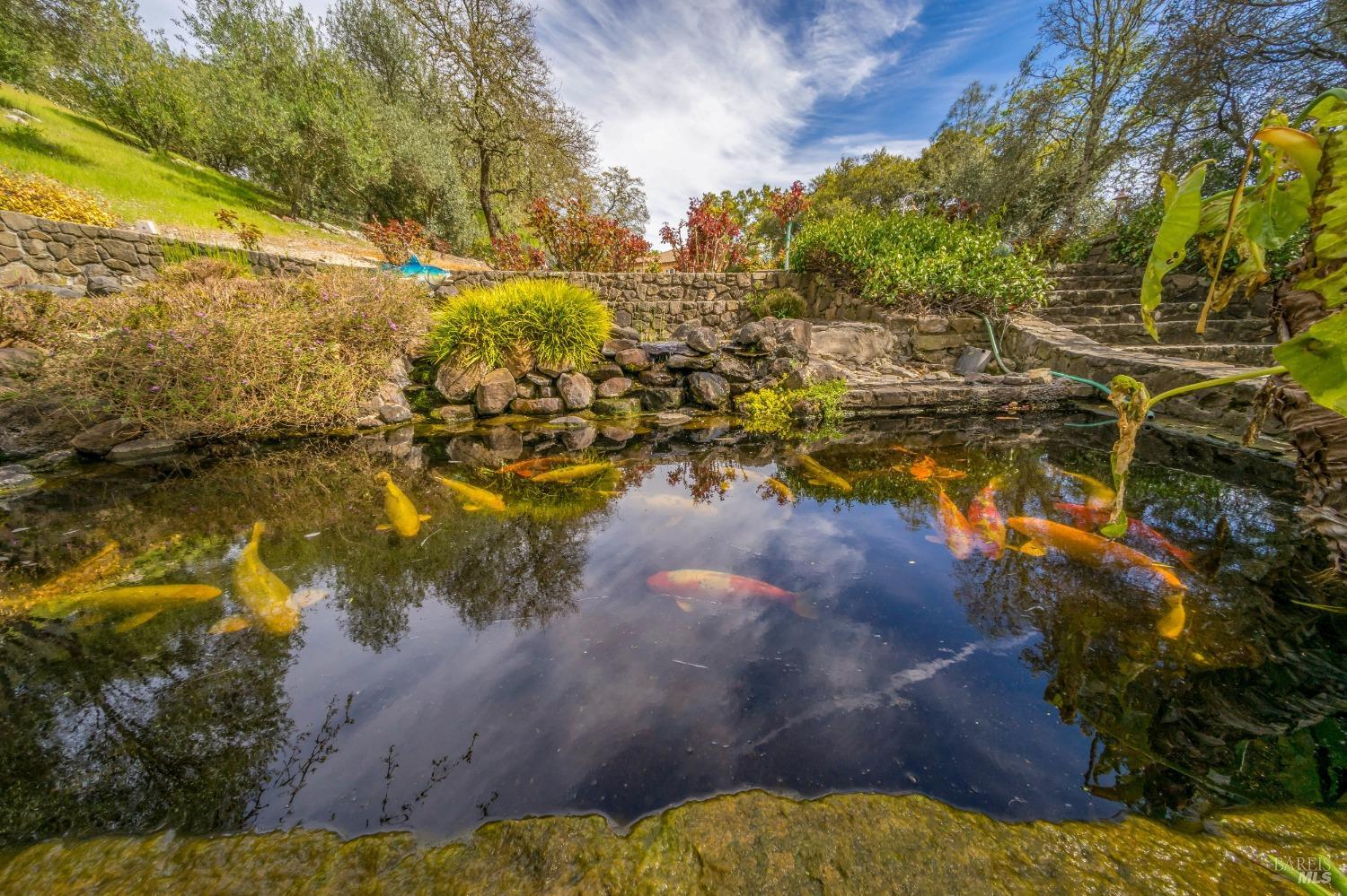 2900 Spring Mountain Rd