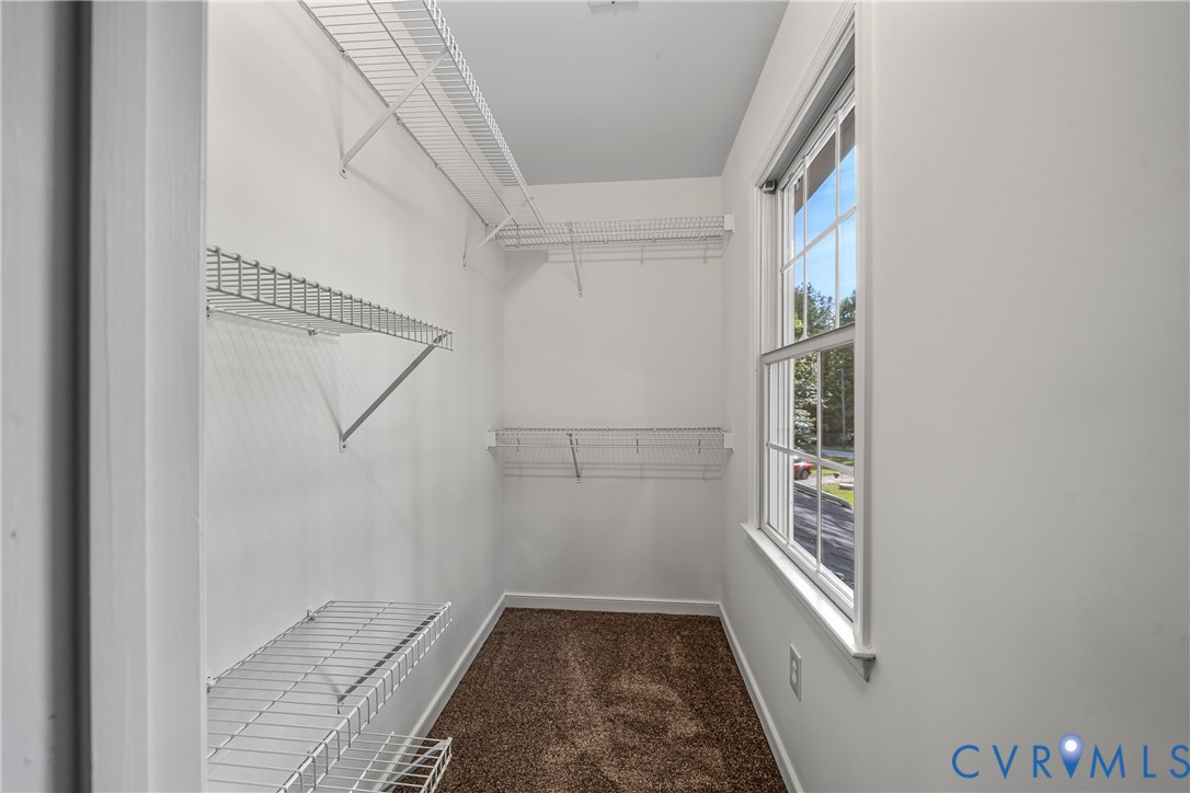 Walk-in closet with wire shelving, brown carpet, and a large window.