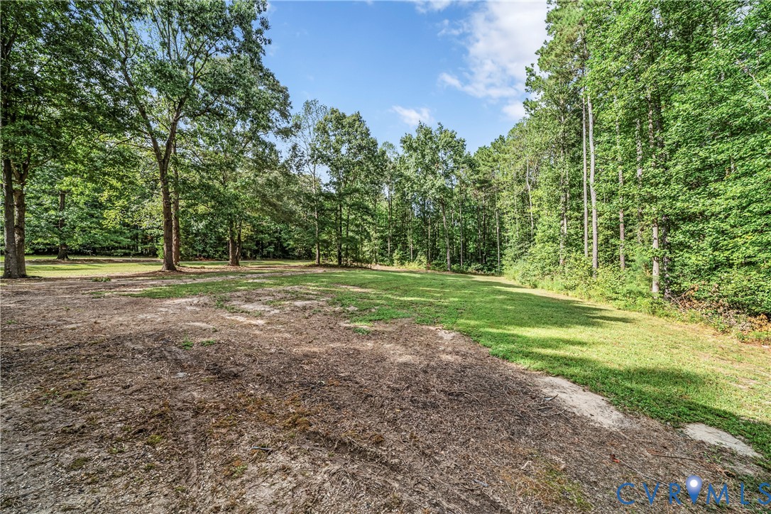 Open grassy and dirt clearing bordered by mature trees and dense woods.