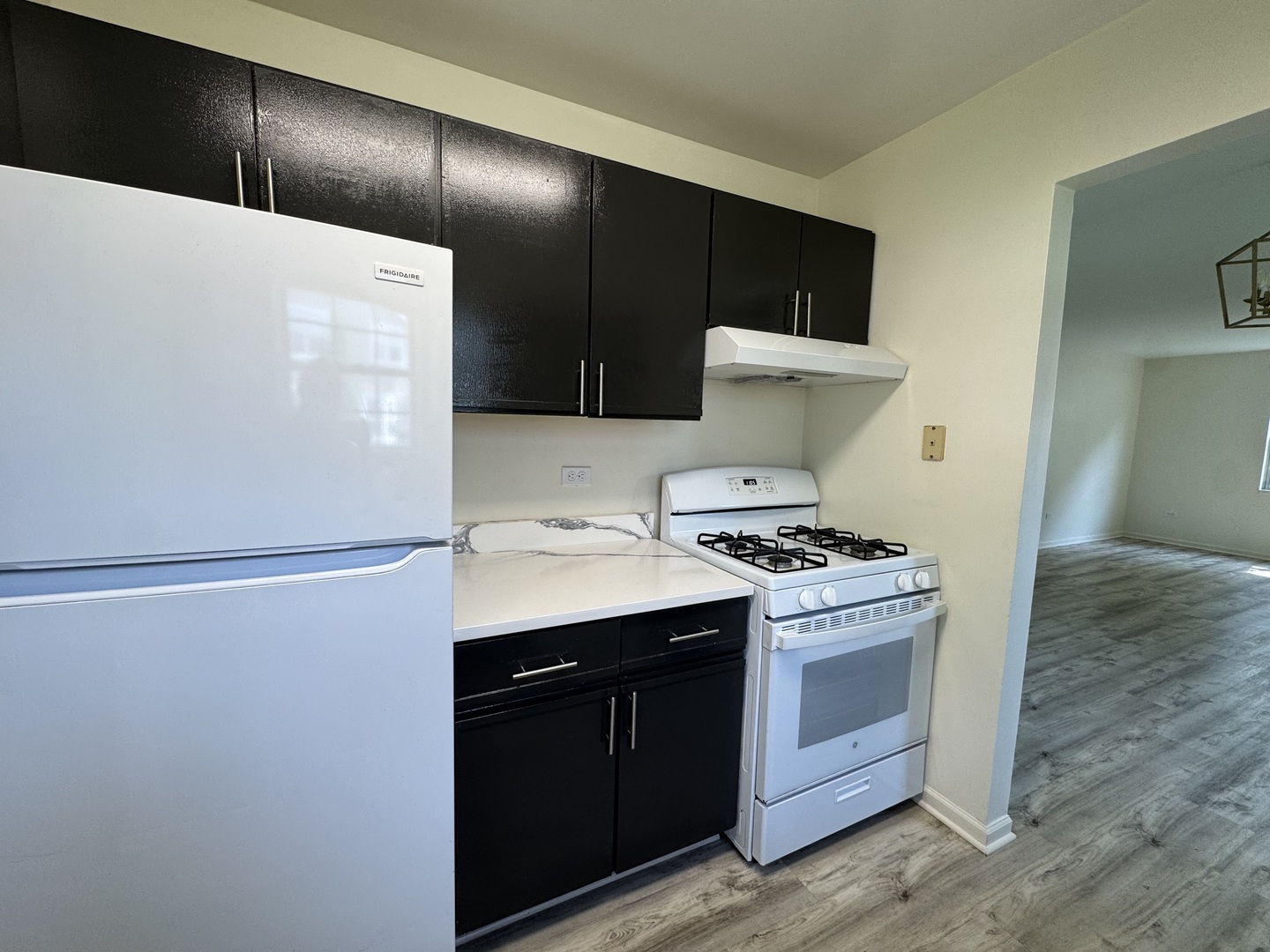 458 N Lake Shore Drive