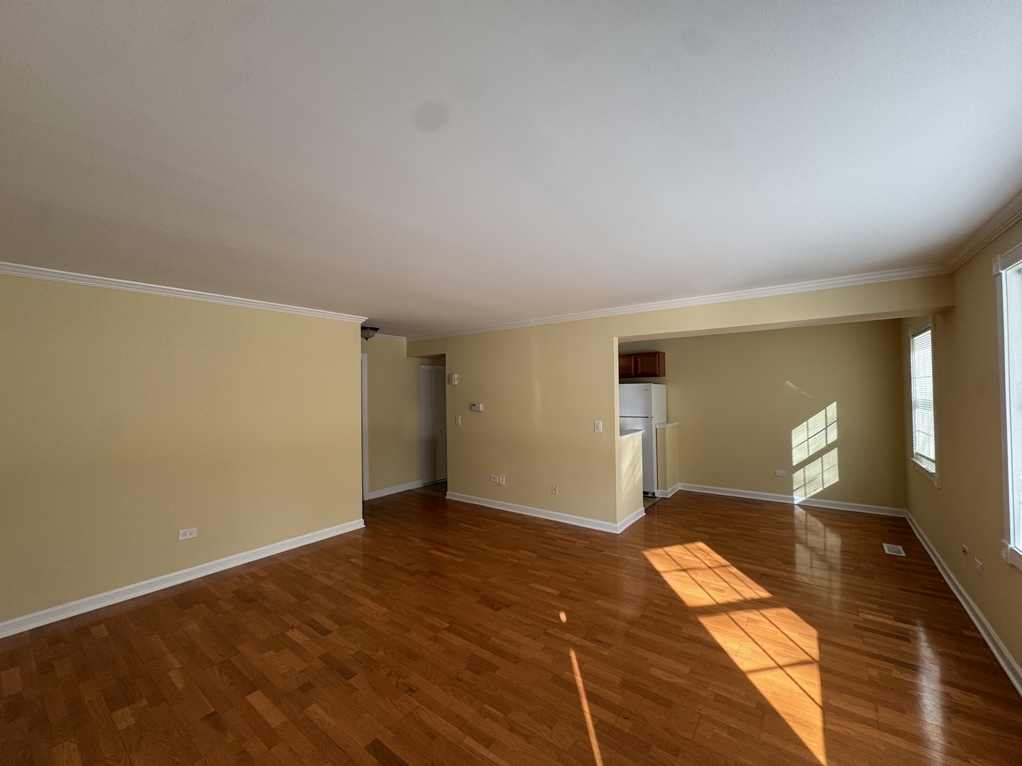 460 N Lake Shore Drive Unit: 460