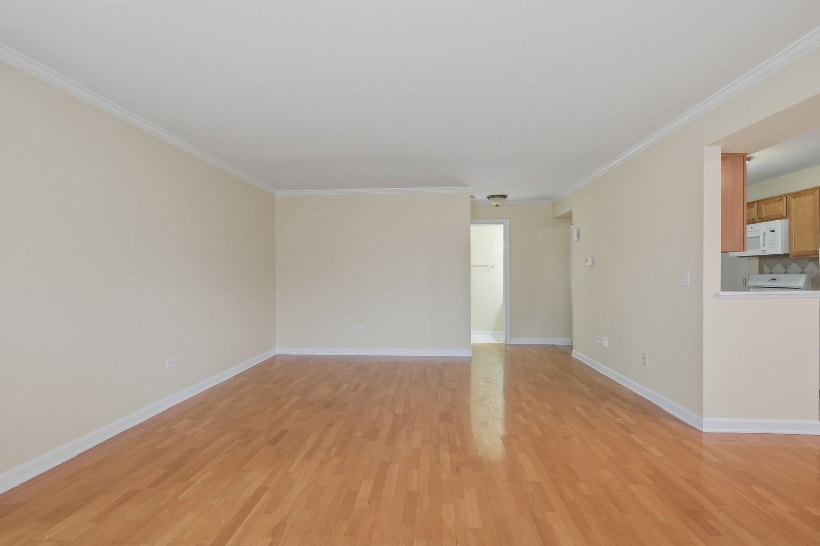 460 N Lake Shore Drive Unit: 460