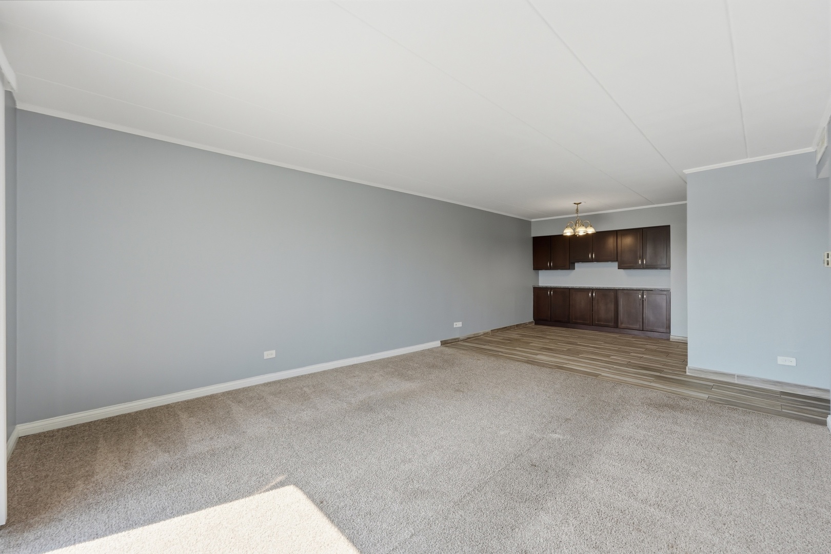 220 S Roselle Road Unit: 524