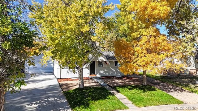 367 S Queen Circle