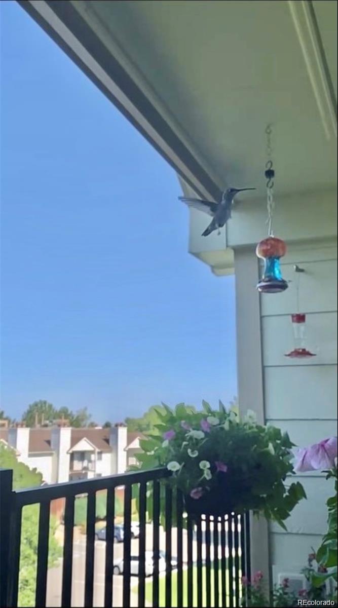 491 S Kalispell Way Unit: 305