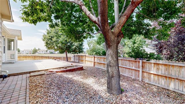 11237 Newark Court