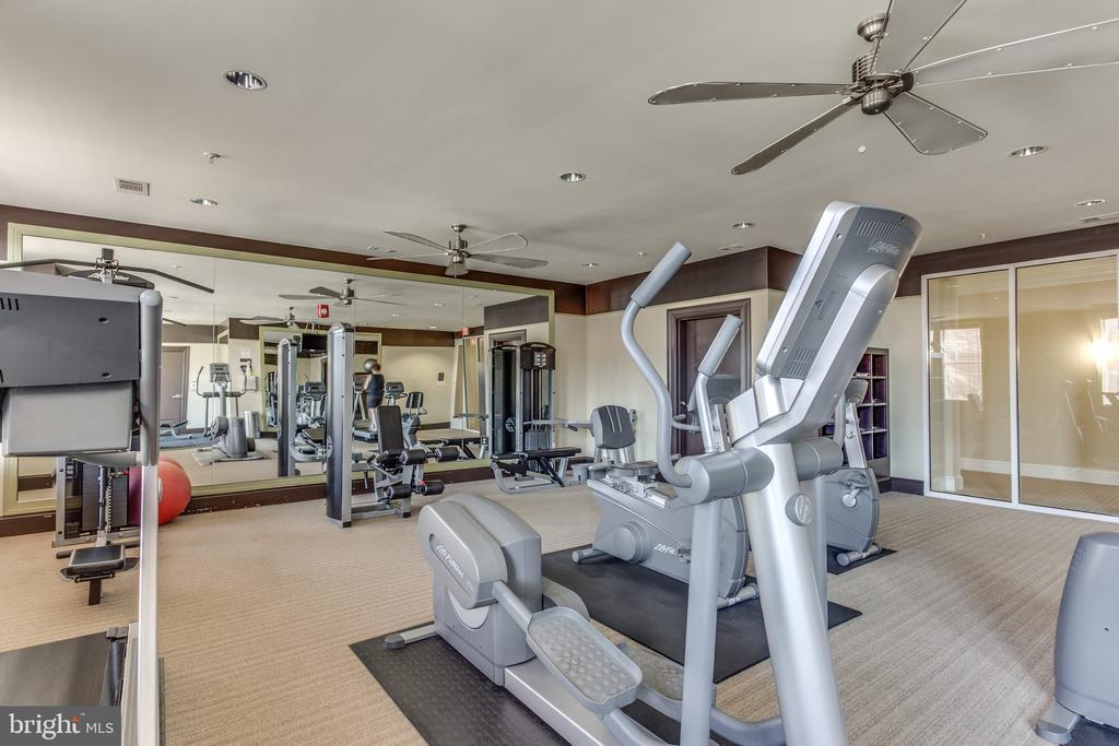 400 Cameron Station Blvd #325