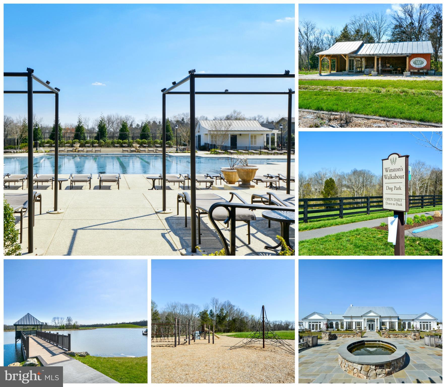 40893 Foxtail Fields Dr