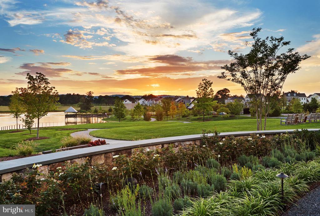 40893 Foxtail Fields Dr