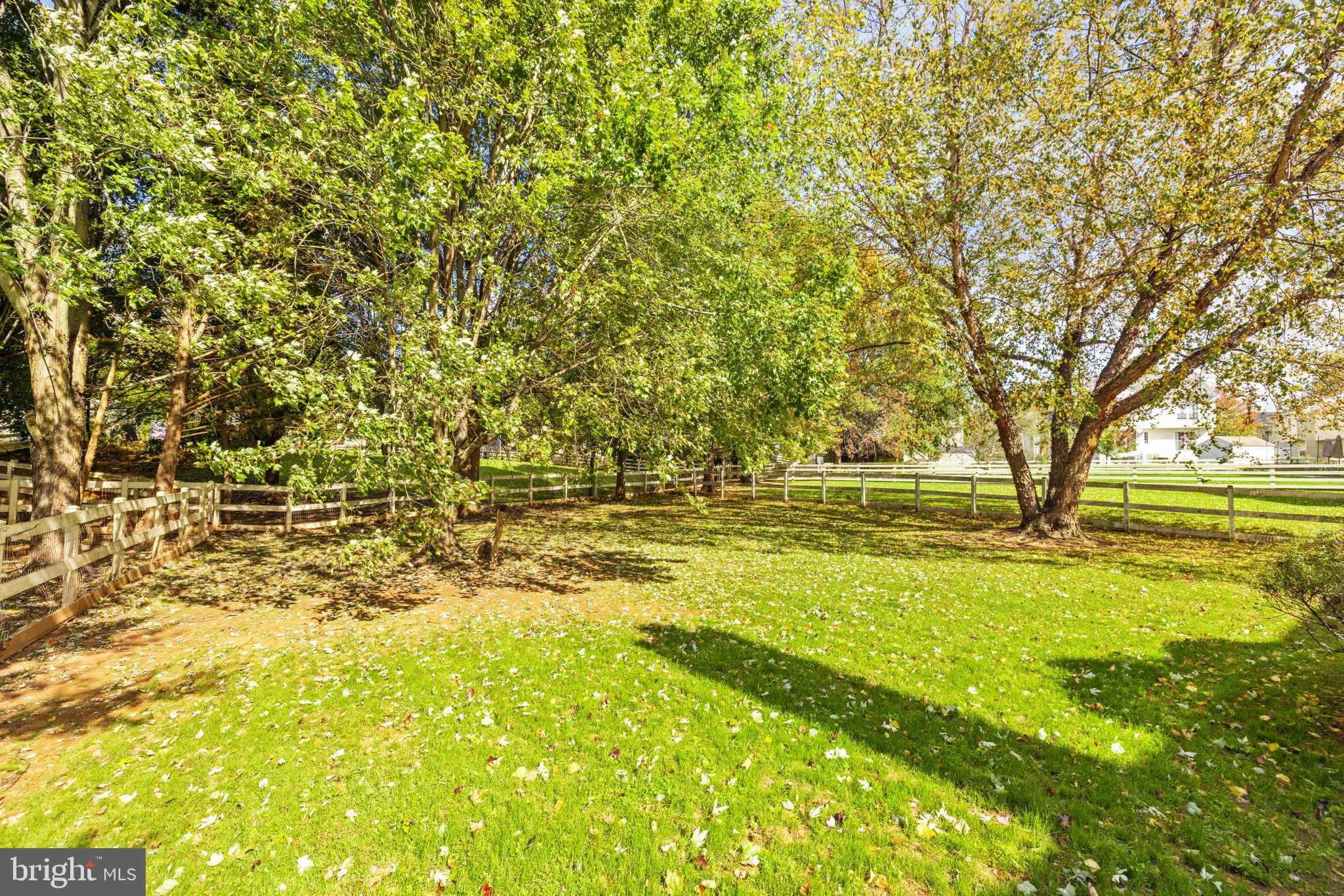 35804 PARK HEIGHTS CIRCLE