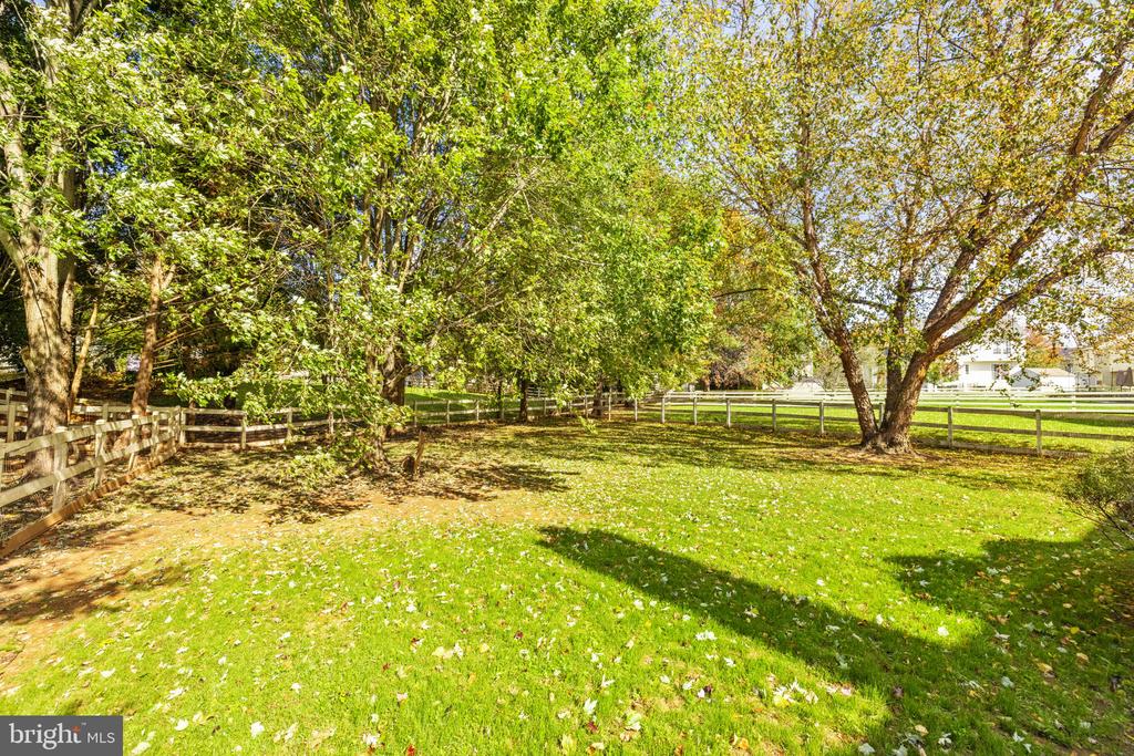 35804 PARK HEIGHTS CIRCLE