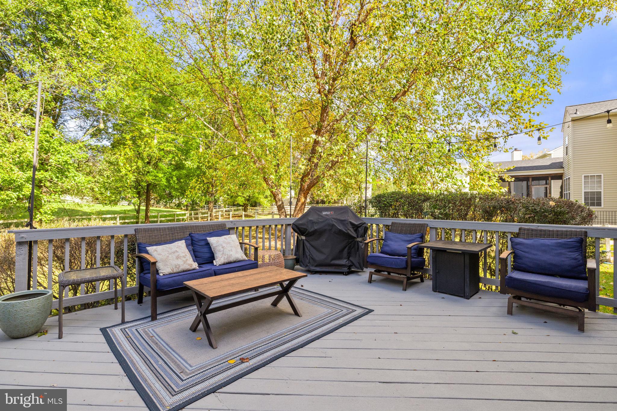 35804 PARK HEIGHTS CIRCLE