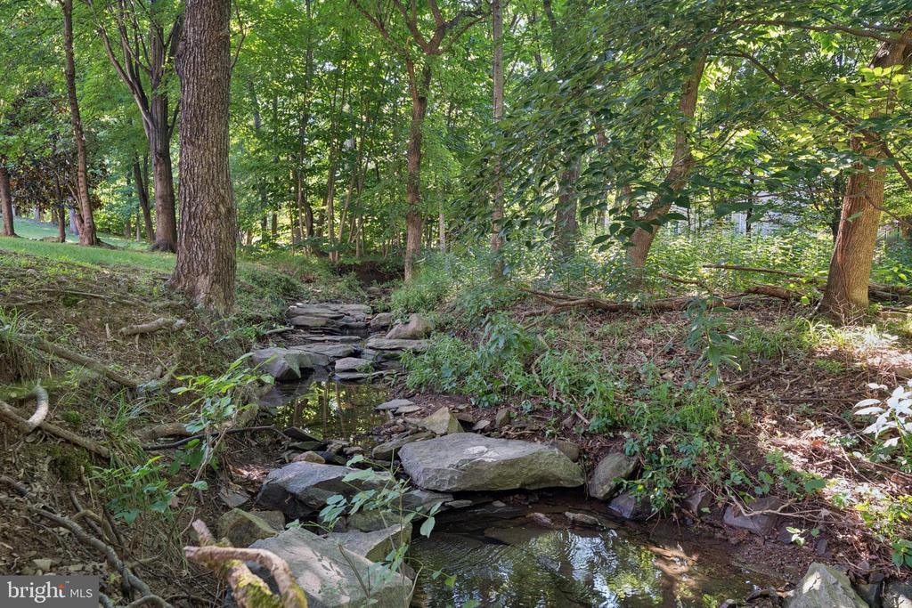 19131 STREAM CROSSING COURT