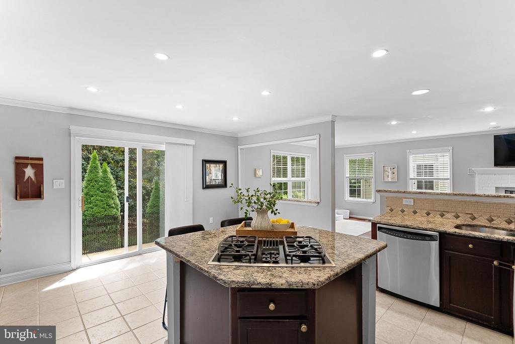 20358 FLUSHING MEADOWS COURT