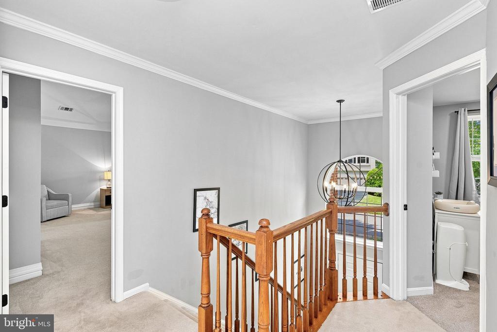 20358 FLUSHING MEADOWS COURT