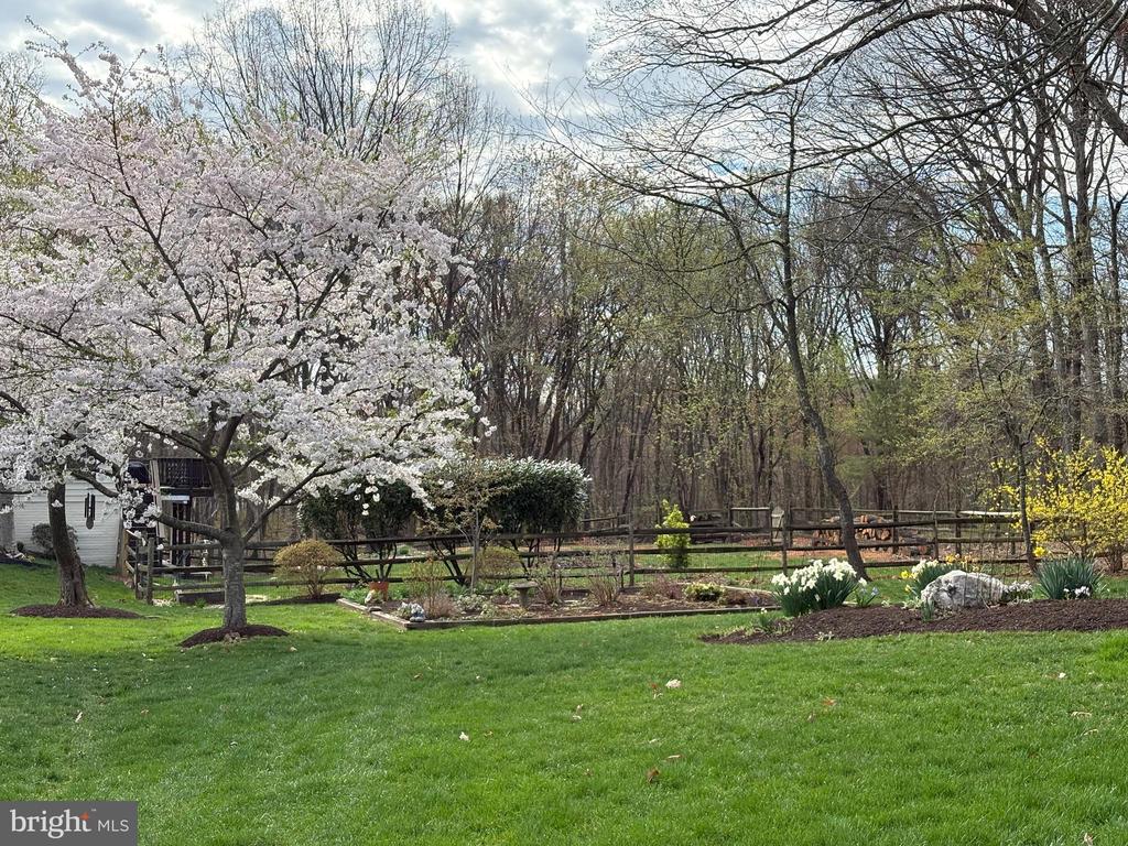 13519 ACCORD COURT