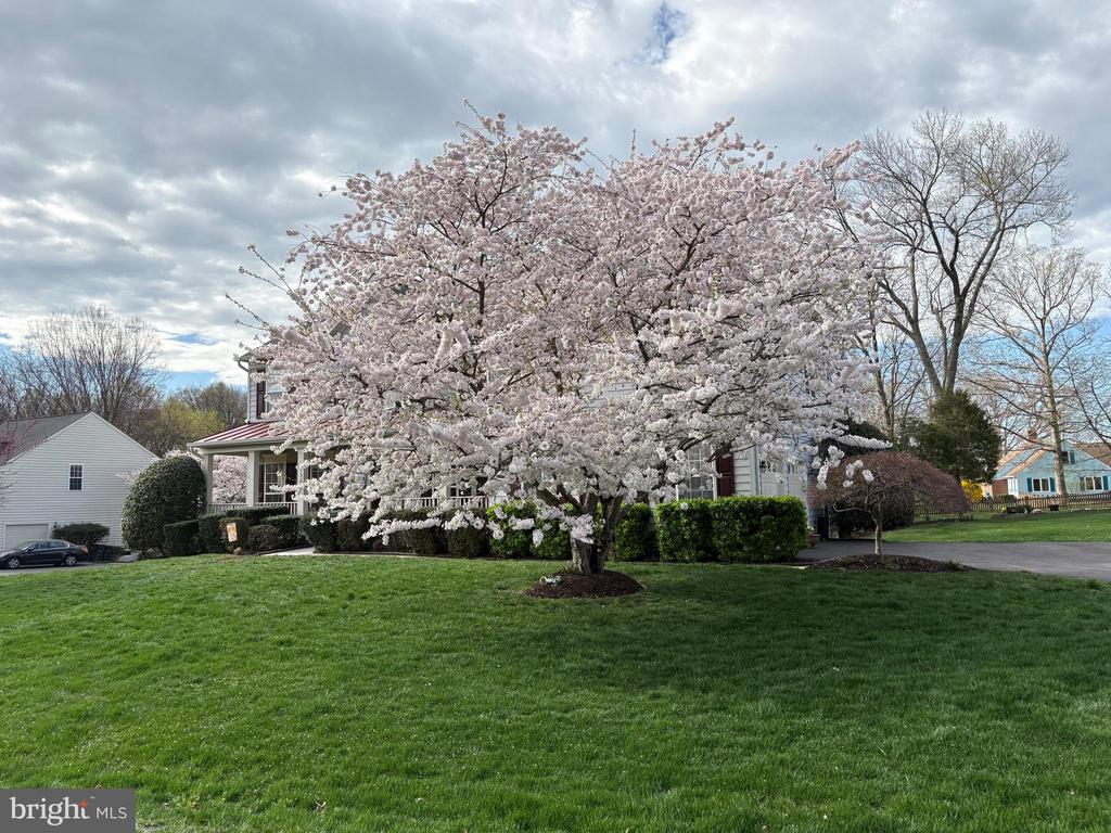 13519 ACCORD COURT