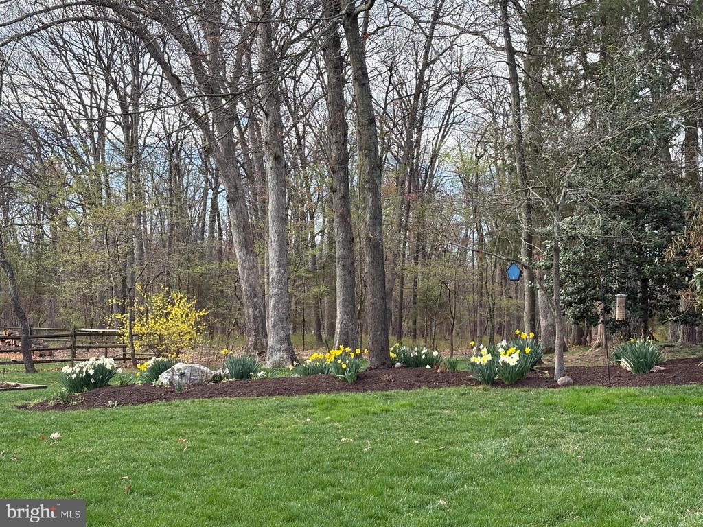 13519 ACCORD COURT