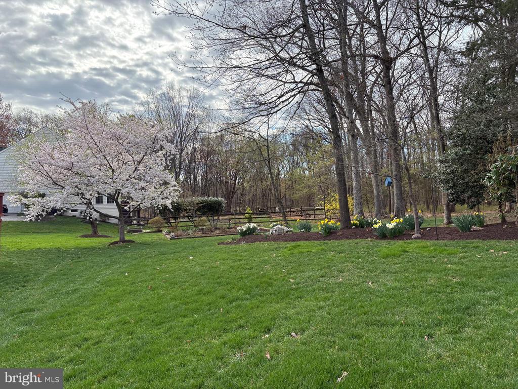 13519 ACCORD COURT