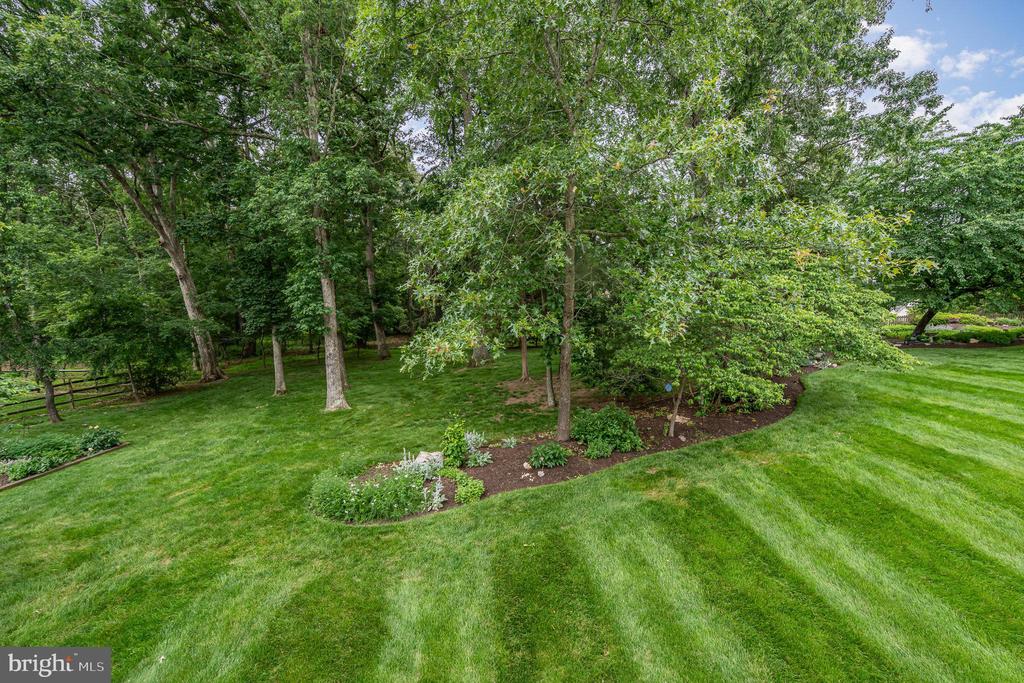 13519 ACCORD COURT
