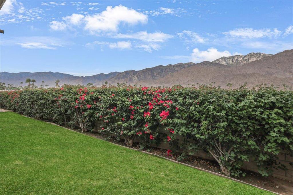 1655 E Palm Canyon Drive 307