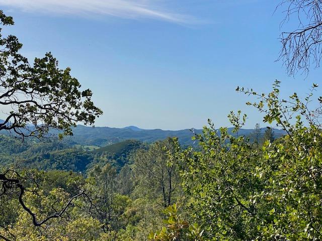 4823 Murphys Camp Road