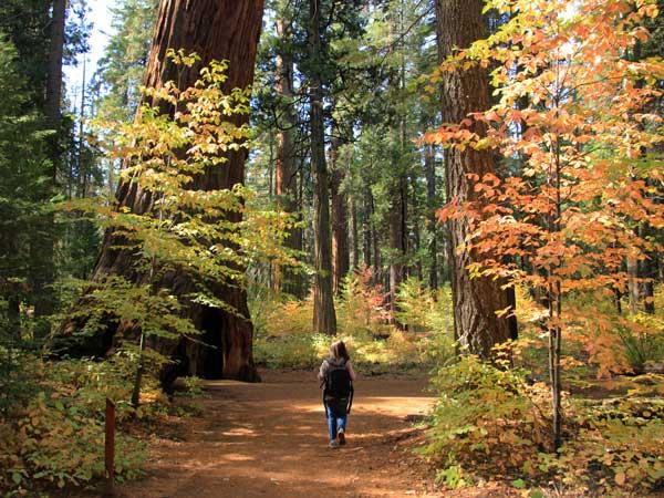 4823 Murphys Camp Road