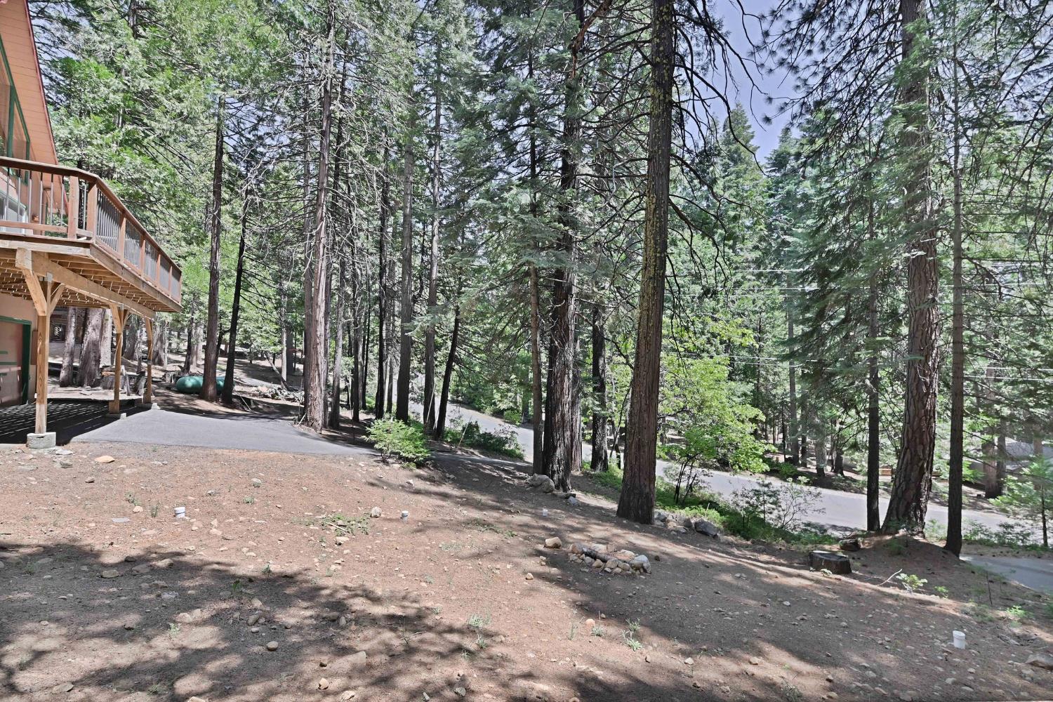 2206 Shoshone Drive