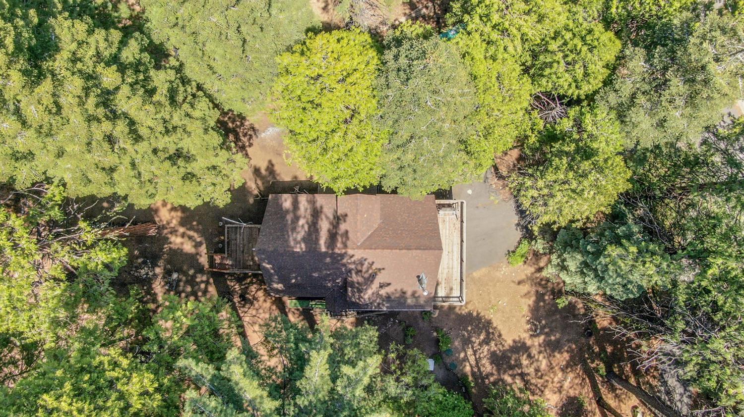 2206 Shoshone Drive