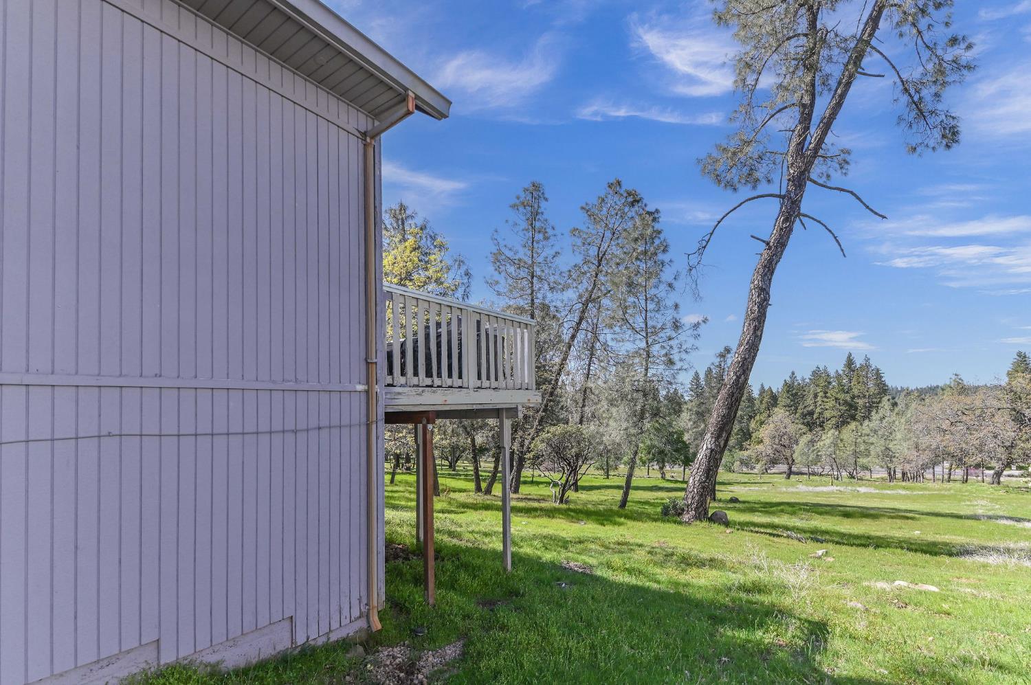 169 Snowberry Court