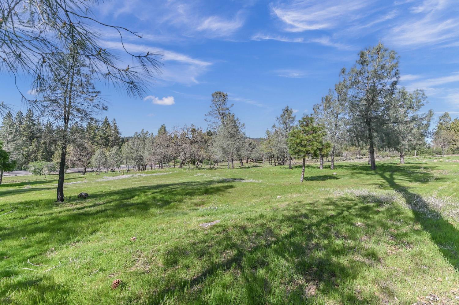 169 Snowberry Court