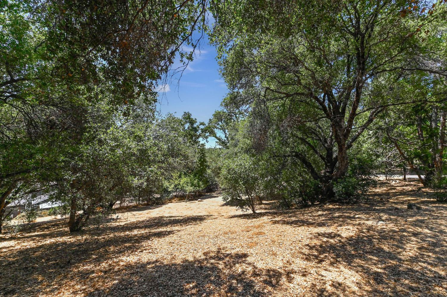 211 Pennsylvania Gulch Road