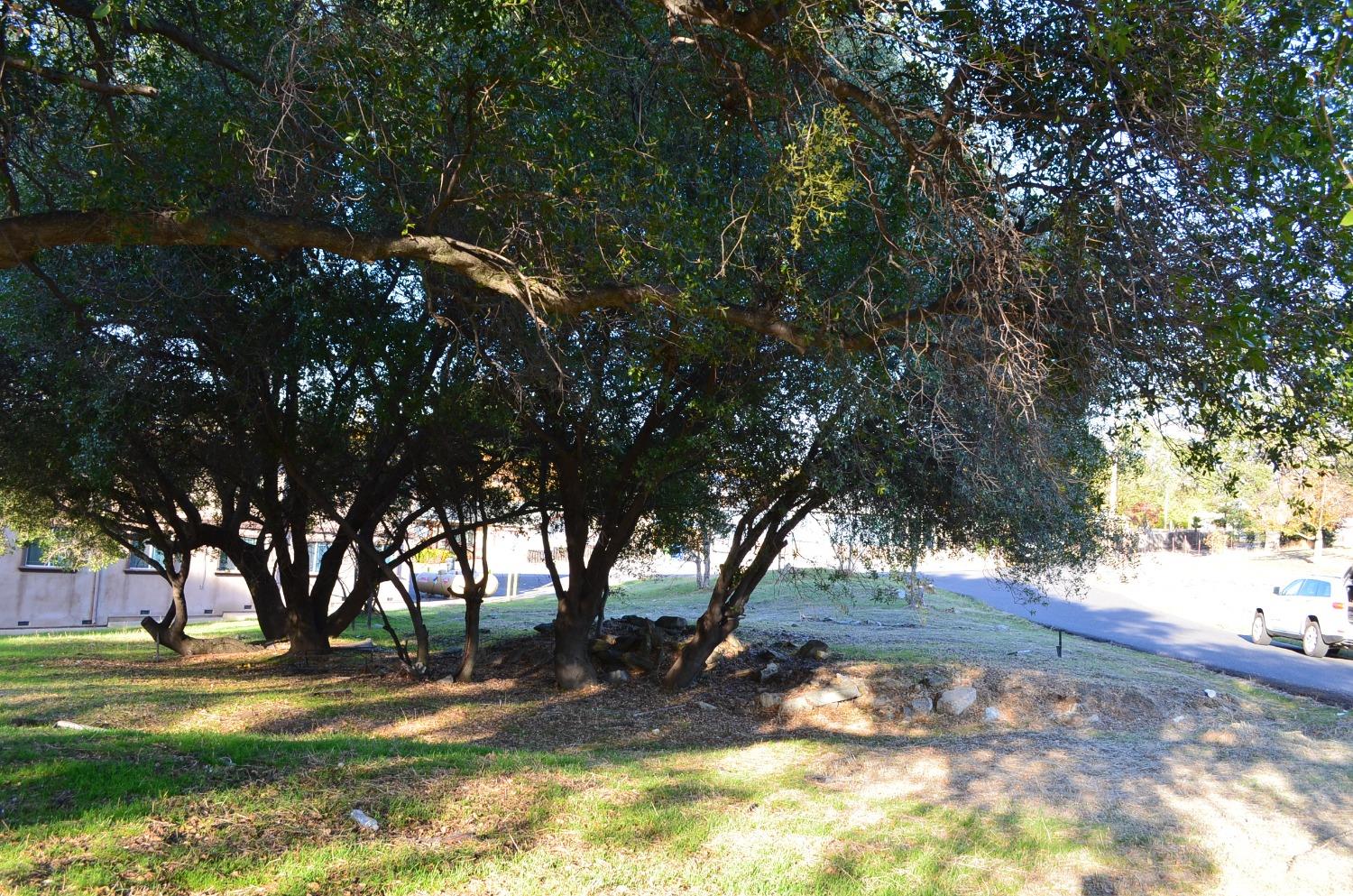 0 Gold Cliff Road