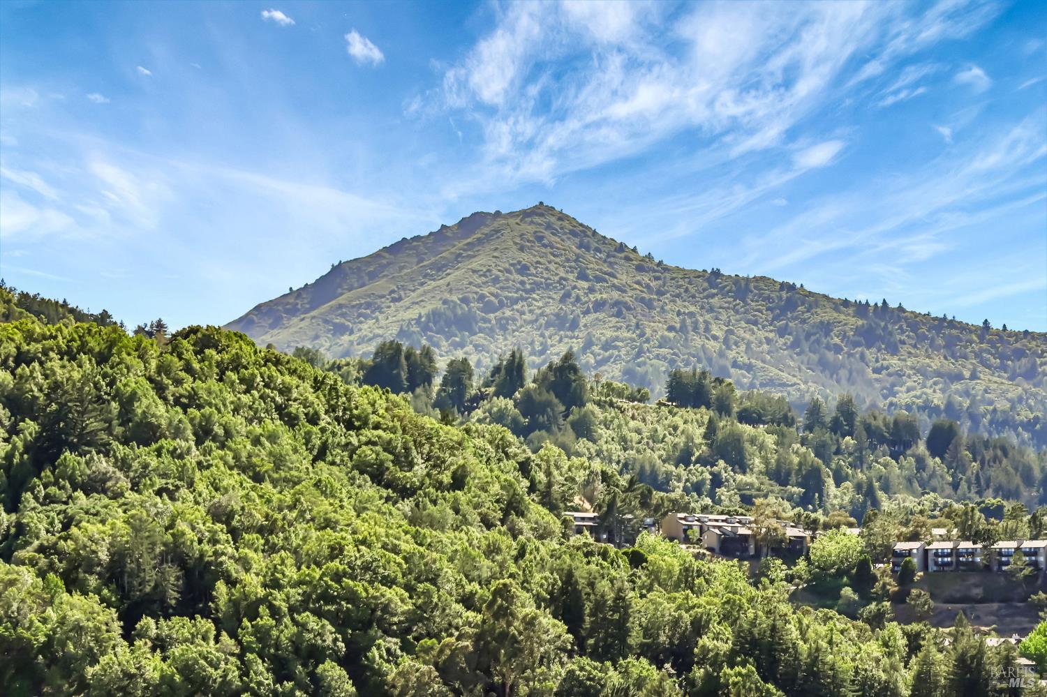 55 Tamalpais Rd