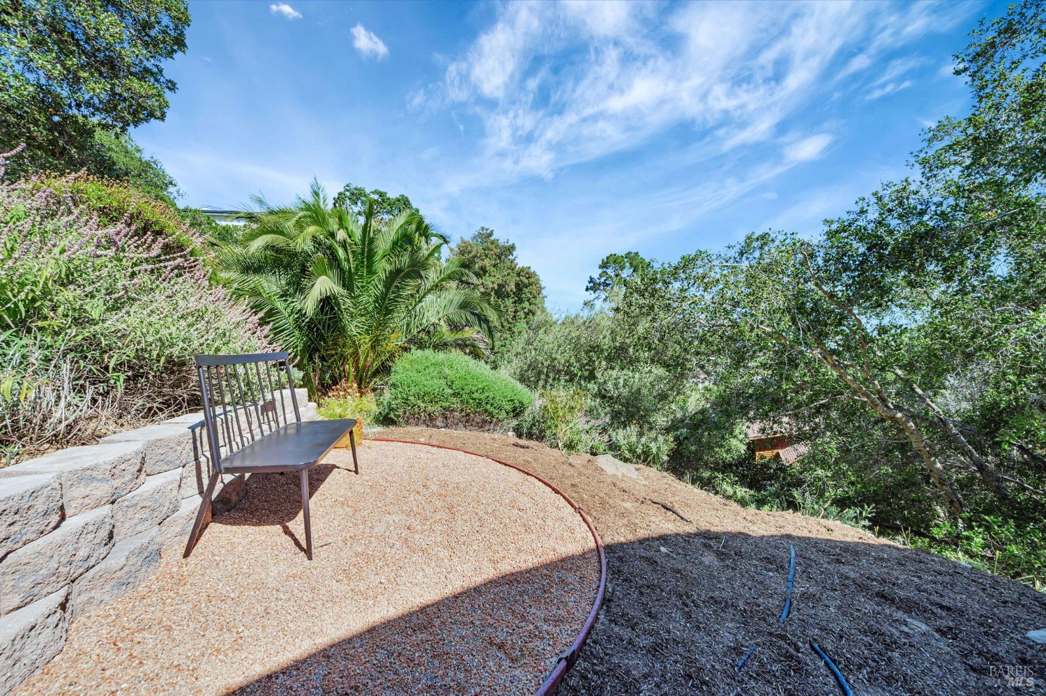 55 Tamalpais Rd