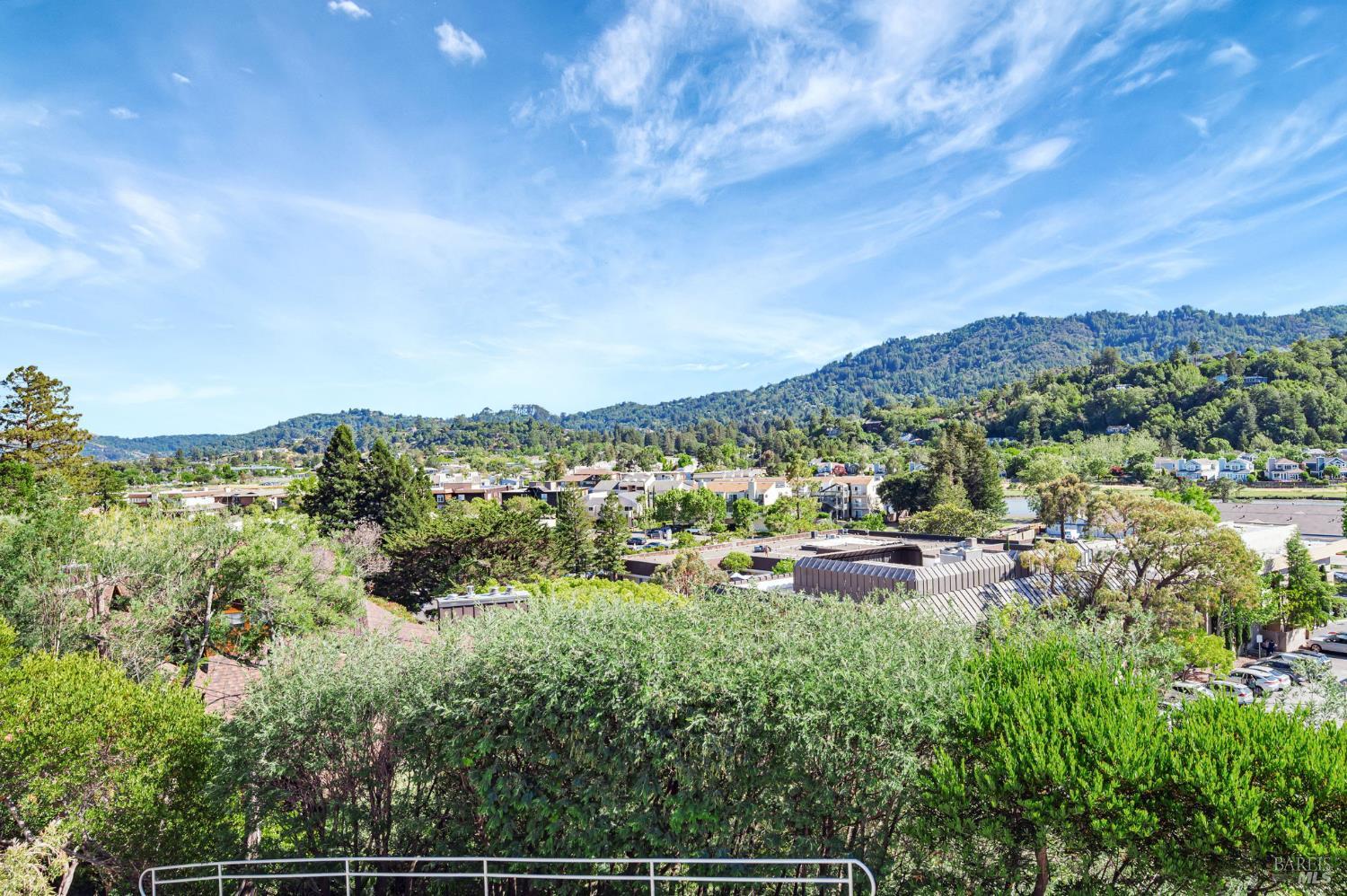 55 Tamalpais Rd