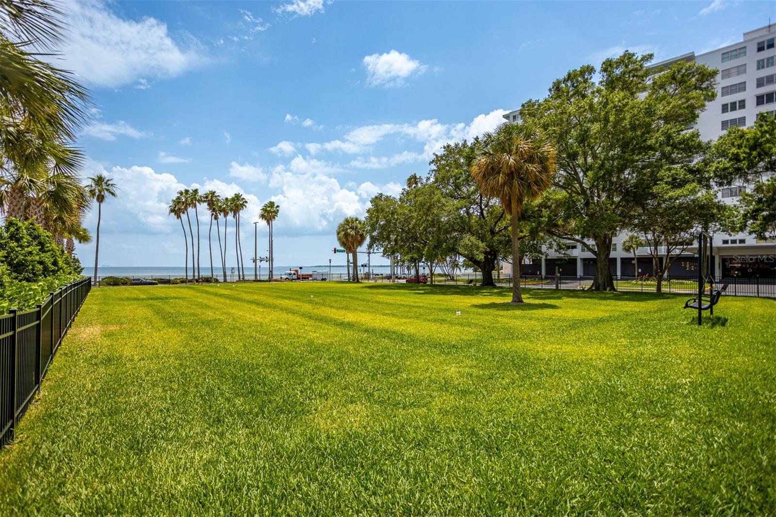 2109 BAYSHORE BLVD #502
