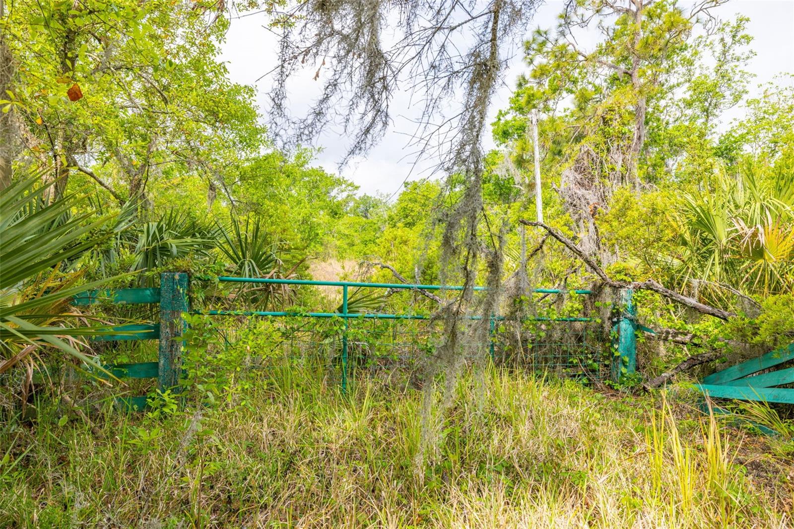 19084 RED BIRD LN