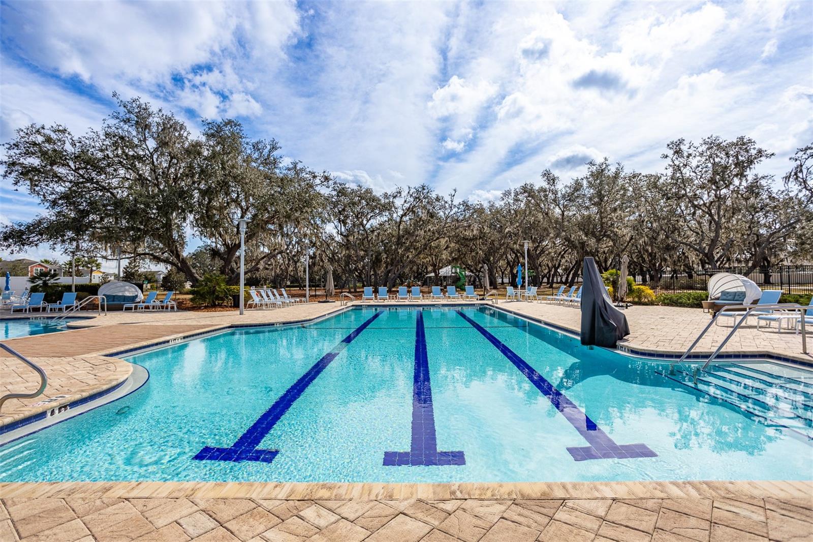 12619 HAMMOCK PARK DR